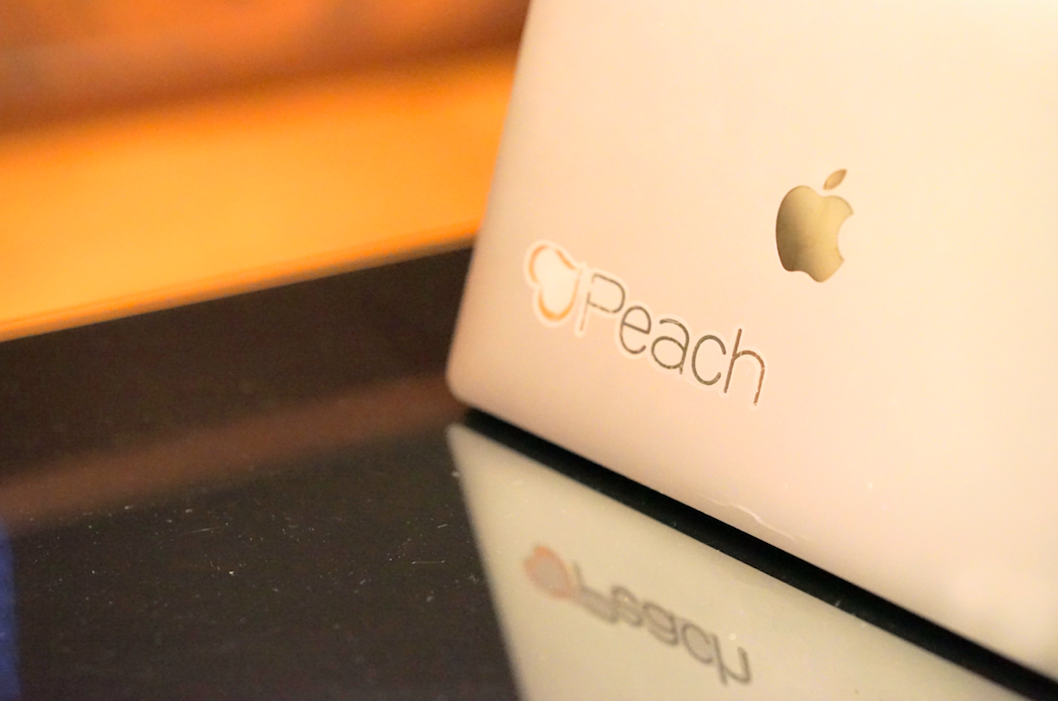 MakeLeaps導入事例|Peach株式会社